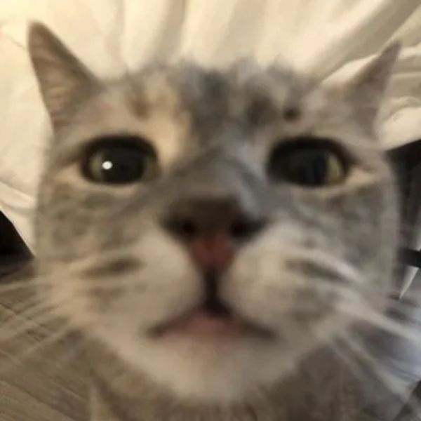 Mateo
